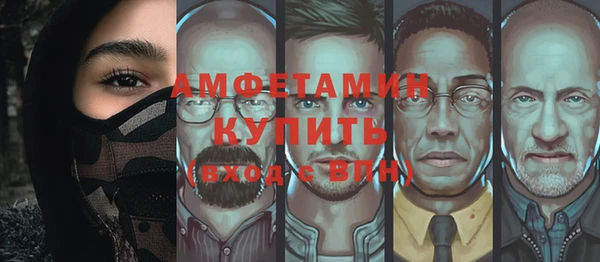 прущие грибы Иннополис
