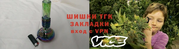 прущие грибы Иннополис