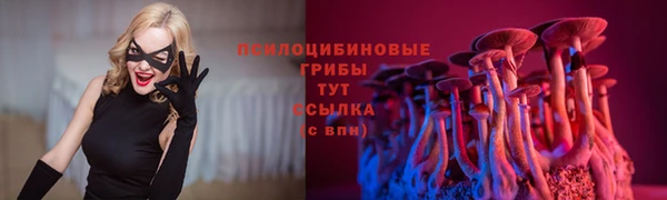 мяу мяу кристалл Инта