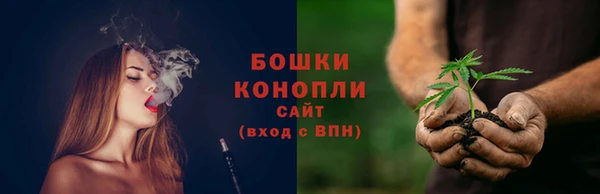 прущие грибы Иннополис