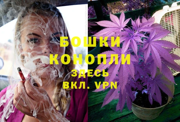 прущие грибы Иннополис