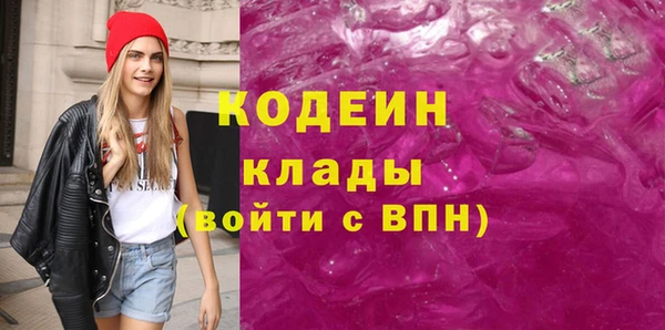 прущие грибы Иннополис