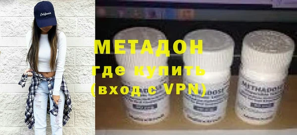 прущие грибы Иннополис