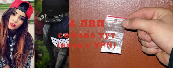 прущие грибы Иннополис