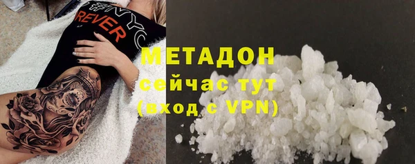 прущие грибы Иннополис