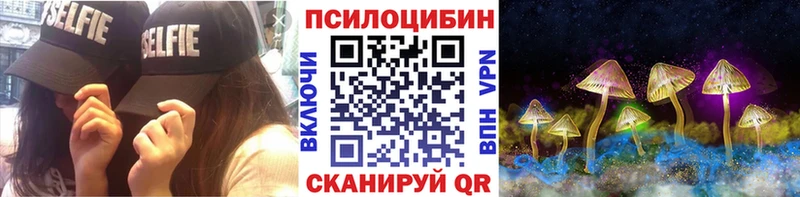 Галлюциногенные грибы Psilocybine cubensis  Истра 